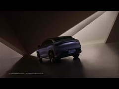 Sea Lion 07 EV 2024 550 vierwielaandrijving Smart air versie 5 deuren 5 zitplaatsen SUV