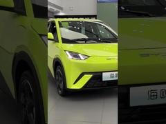 Byd Seagull fluorescerend groen