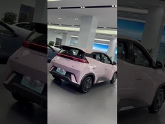 Byd zeemeeuw roze