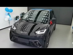 2025 305km Freedom Edition BYD Nieuwe energie elektrisch voertuig Seagull 4 zitplaatsen